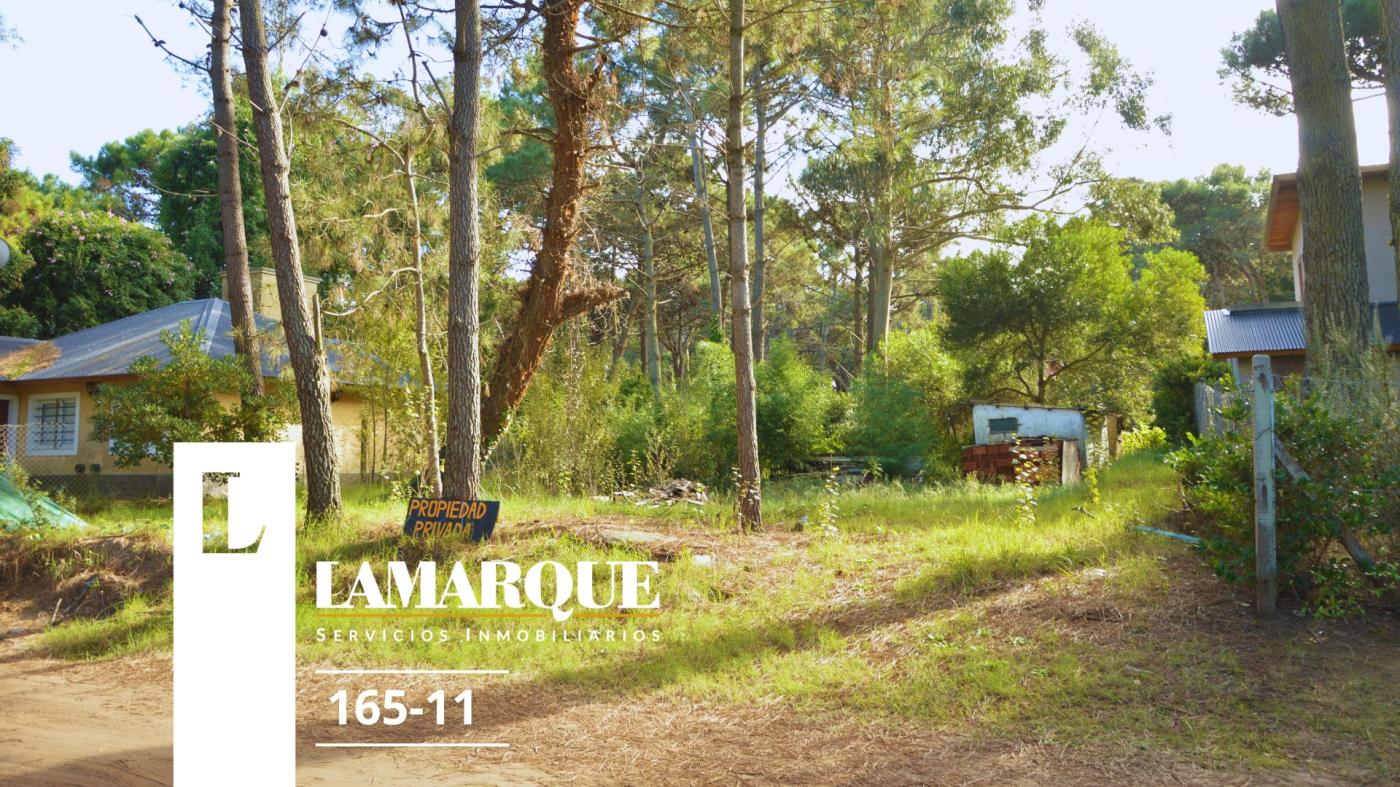 Lamarque